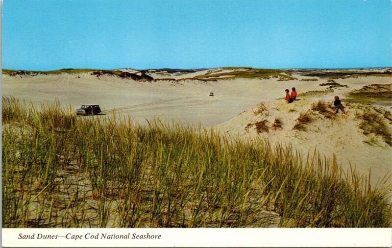 Sand Dunes Cape Cod National Seashore Typical View Massachusetts MA Postcard UNP