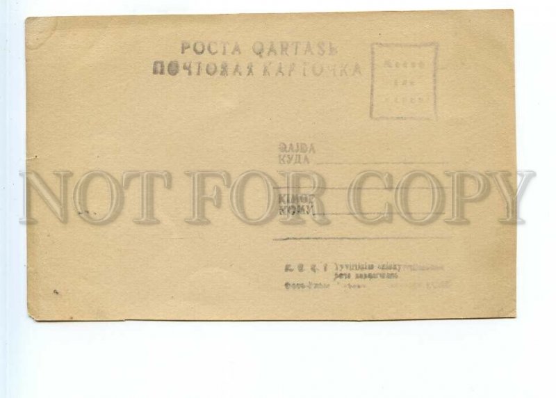 498476 USSR Kazakhstan Alma-Ata Gorky Park Culture and Leisure Birch Alley photo