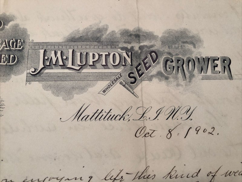 1902 J M LUPTON SEED GROWER Long Island CABBAGE SEED New York Letterhead