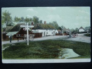 Hampshire NEW FOREST Cadnam Sir John Barleycorn c1905 Postcard by F.G.O. Stuart