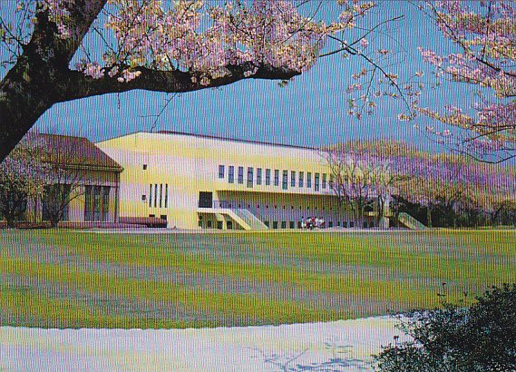 Japan Nishinomiya Kobe College New Gymnasium