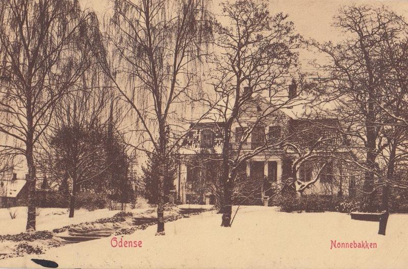 Odense Nonnebakken Denmark Antique Postcard