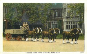 Postcard Illinois Chicago Union Stock Yards Six Horse Team Rigot Teich 23-8543