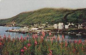 Alaska Kodiak Aerial View