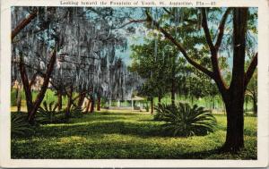 Fountain of Youth St. Augustine FL Florida Fla c1927 Postcard D86