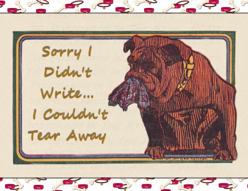 Set of 6 Handmade Postcards, Bulldog with Torn Pants in his Mouth Funny Humor