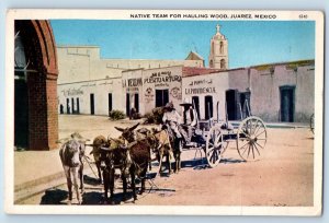 Juarez Chihuahua Mexico Postcard Native Team for Hauling Wood c1930's Posted