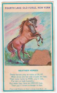 Weather Horse, Old Forge, 4th Lake NY
