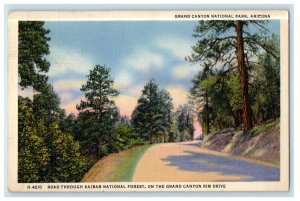 1939 Road Scene, Grand Canyon National Park AZ Fred Harvey RPO Postcard 