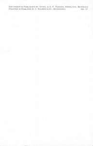 Flatts Village Bermuda Postcard