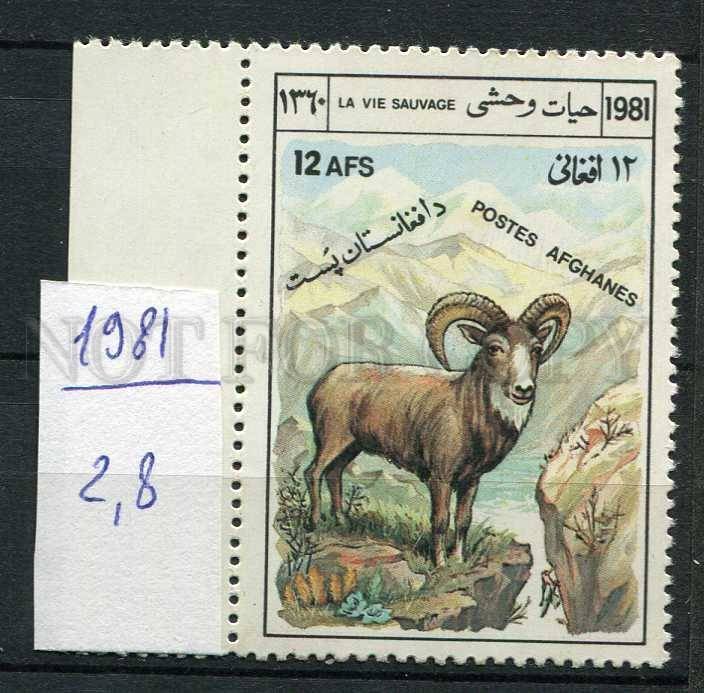 265621 AFGANISTAN 1981 year MNH stamp mouflon