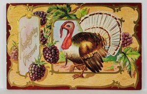 Thanksgiving Beautiful Turkey Gilded Trim Embossed Postcard R15