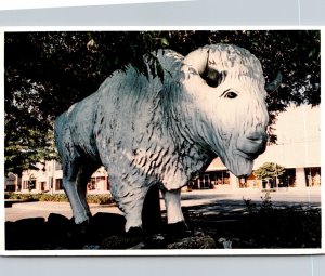 Texas Snyder Courthouse Square White Buffalo Statue