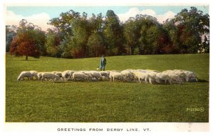 Flock of Sheep, Dog, Derby Lime Vermont