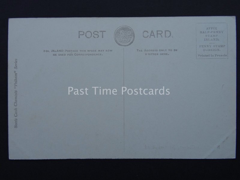 Surrey GUILDFORD Newlands Corner - Old Postcard by Boots Pelham Series