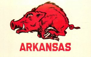 Postcard 1960s Arkansas Sports Booster Mascot Teich AR24-1811