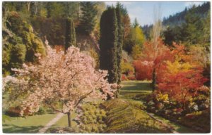 Spring Time, Butchart Gardens, Victoria, British Columbia, Vintage Postcard