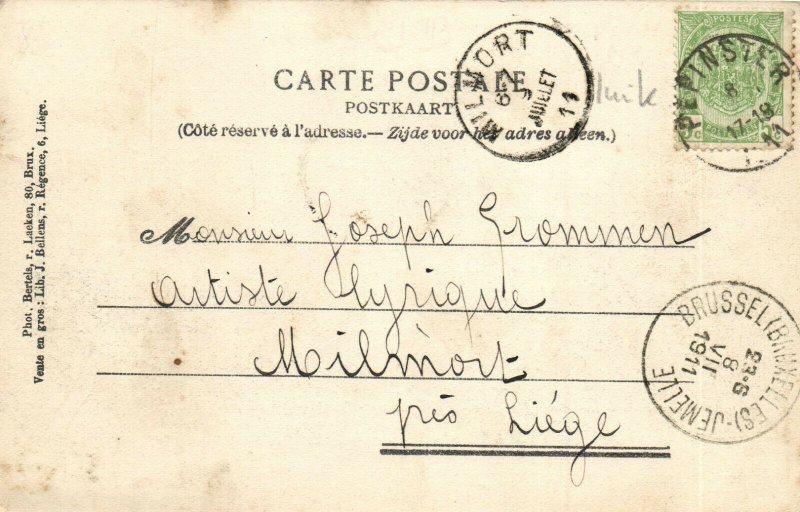 PC BELGIUM, PEPINSPER, PANORAMA, Vintage Postcard (b30058)