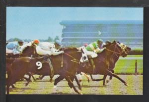 Horse Race Postcard 