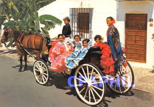 Postcard Modern COSTA DEL SOL
Tapico paseo en coche de caballos