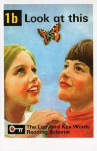 Look At Thus Butterfly Ladybird Childrens First Edition Book Postcard