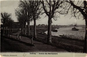 CPA ANDRÉSY - Avenue des Marronniers (657525)