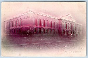 1910's CHICAGO ILLINOIS ART INSTITUTE AIRBRUSHED EMBOSSED POSTCARD