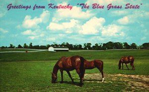 Vintage Postcard Greetings From Kentucky The Blue Grass State Horses Animals
