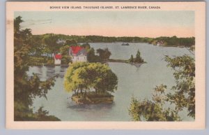 Bonnie View Island, Thousand Islands, Ontario, Vintage Valentine-Black Postcard