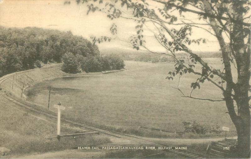 Belfast Maine 1949 Postcard Beaver Tail and Passagassawaukeag River, RR Tracks 