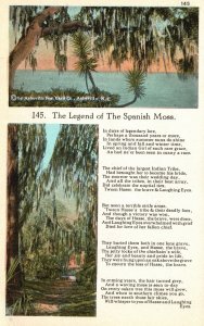 Vintage Postcard 1920's The Legend of The Spanish Moss Asheville North Carolina