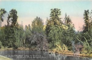 c1910 Postcard; Stillwater River where Trout Lurk, Kalispell MT Flathead Co.