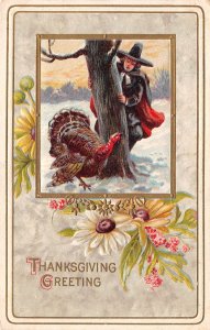 Thanksgiving Greeting Pilgrim Hides From Turkey Behind Tree, AA374-30