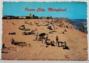 MD Ocean City Maryland Vintage Beach Scene Postcard P2