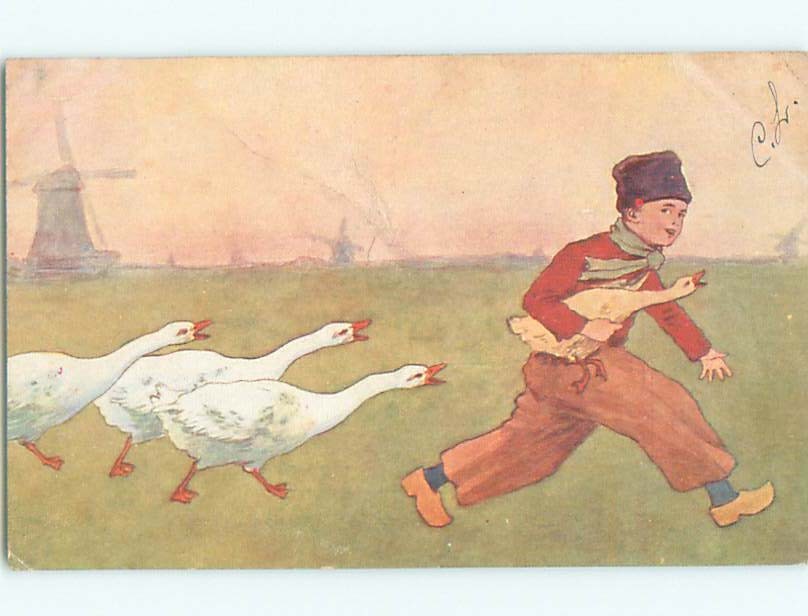 foreign 1903 Postcard DUTCH BOY GRABS GOOSE AS GEESE CHASE HIM AC3577