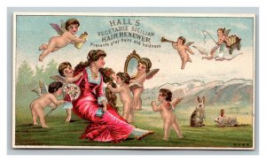 Vintage 1880's Victorian Trade Card - Hall's Hair Renewer - Quack Medicine