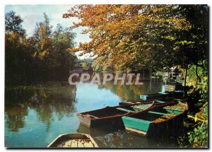 Modern Postcard Images of France Champigny The banks of the Marne