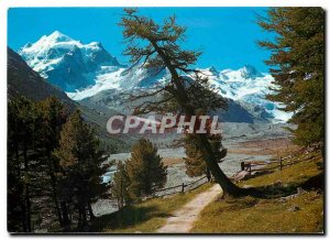 Modern Postcard Im Rosegtal Piz Roseg und Sellagruppe