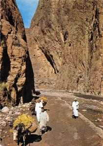 BR49843 Tinerhir gorges du todra     Morocco