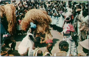 Danca do compo Bissau African Dance Guinea Postcard