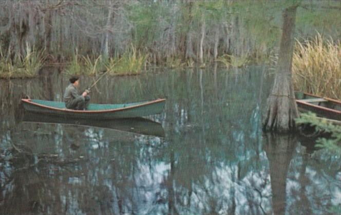 Louisiana Serenity Fishing In Louisiana's Deep South