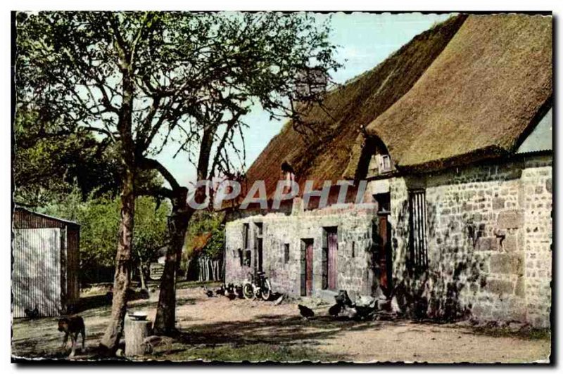 Modern Postcard Normandy Picturesque Farmyard