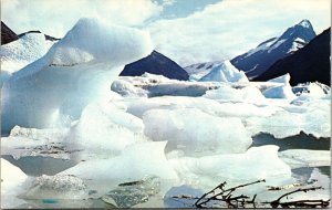 Portage Glacier Anchorage Alaska Ice Cubes Seward Highway Chrome Postcard UNP 