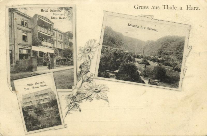 germany, THALE a. Harz, Multiview, Hotel Daheim, Villa Helene, Bodetal (1899)