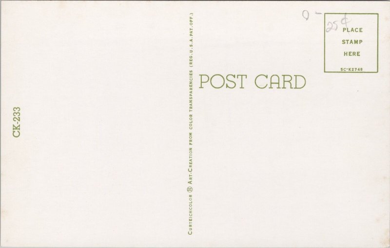 Animal~Two Gray Kittens Standing Next To Lettered Blocks~Vintage Postcard