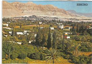 BR42733 City of palms in the jordan valley Jericho israel