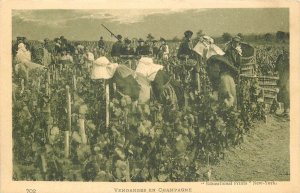 Postcard France Champagne Grase Pickers Wine Industry 1920s 23-2416