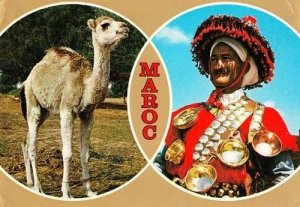 Maroc Moroccon Fashion Folklore Animal Costume Fashion Postcard