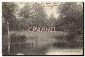 Old Postcard View Of L & # 39Etang The Murieaux