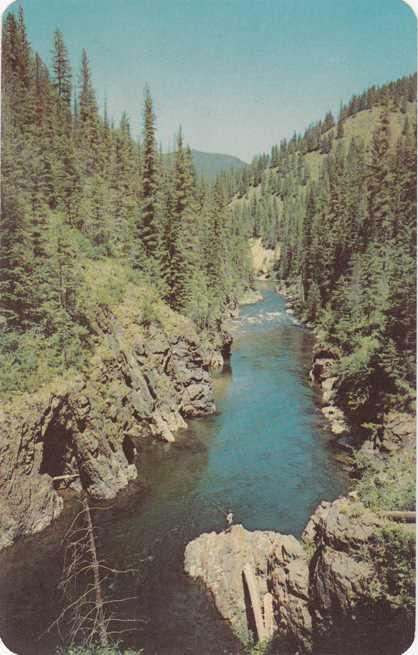 Fishing on the Upper St Joe River near Avery Idaho